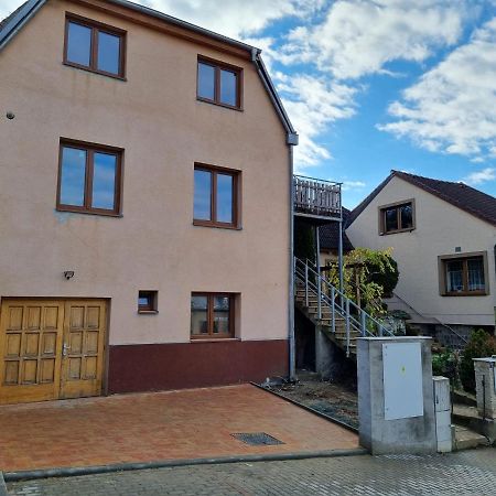 Utulne Studio U Marianskeho Udoli V Brne - Lisni Brno Dış mekan fotoğraf